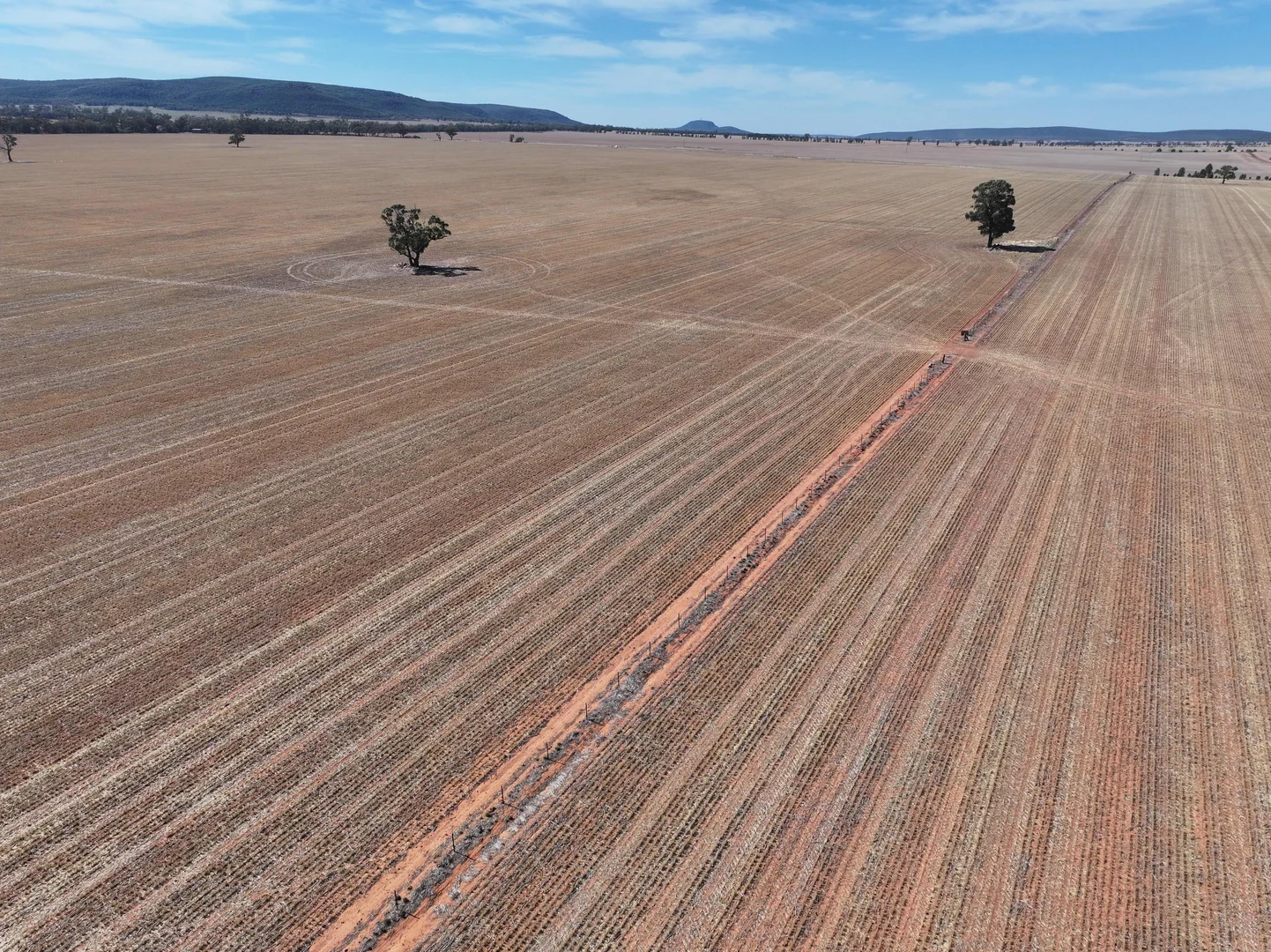 Additional image 14 of 'Nolens'  5000 Barellan Road, Colinroobie NSW 2700