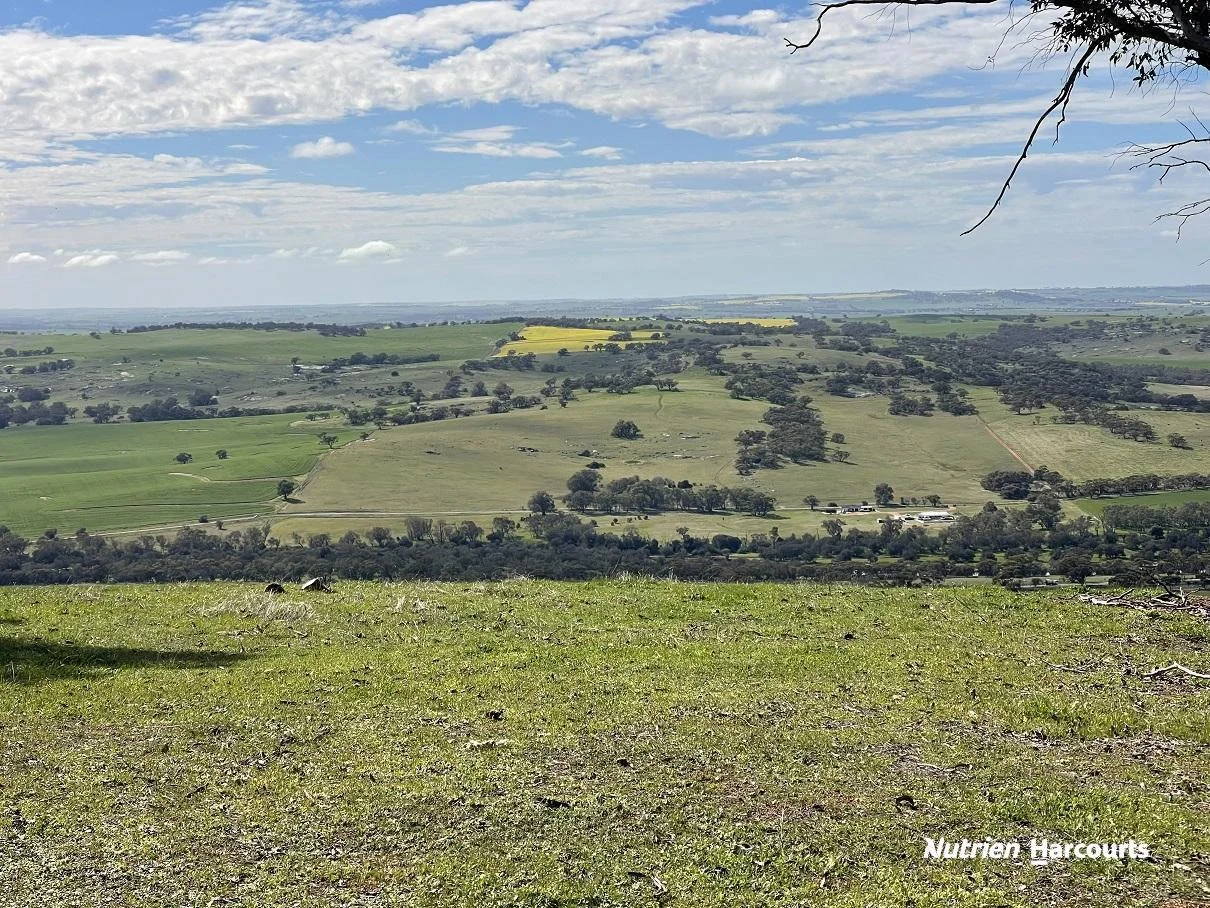 Additional image 13 of 967 Northam-Toodyay Road, Katrine WA 6401