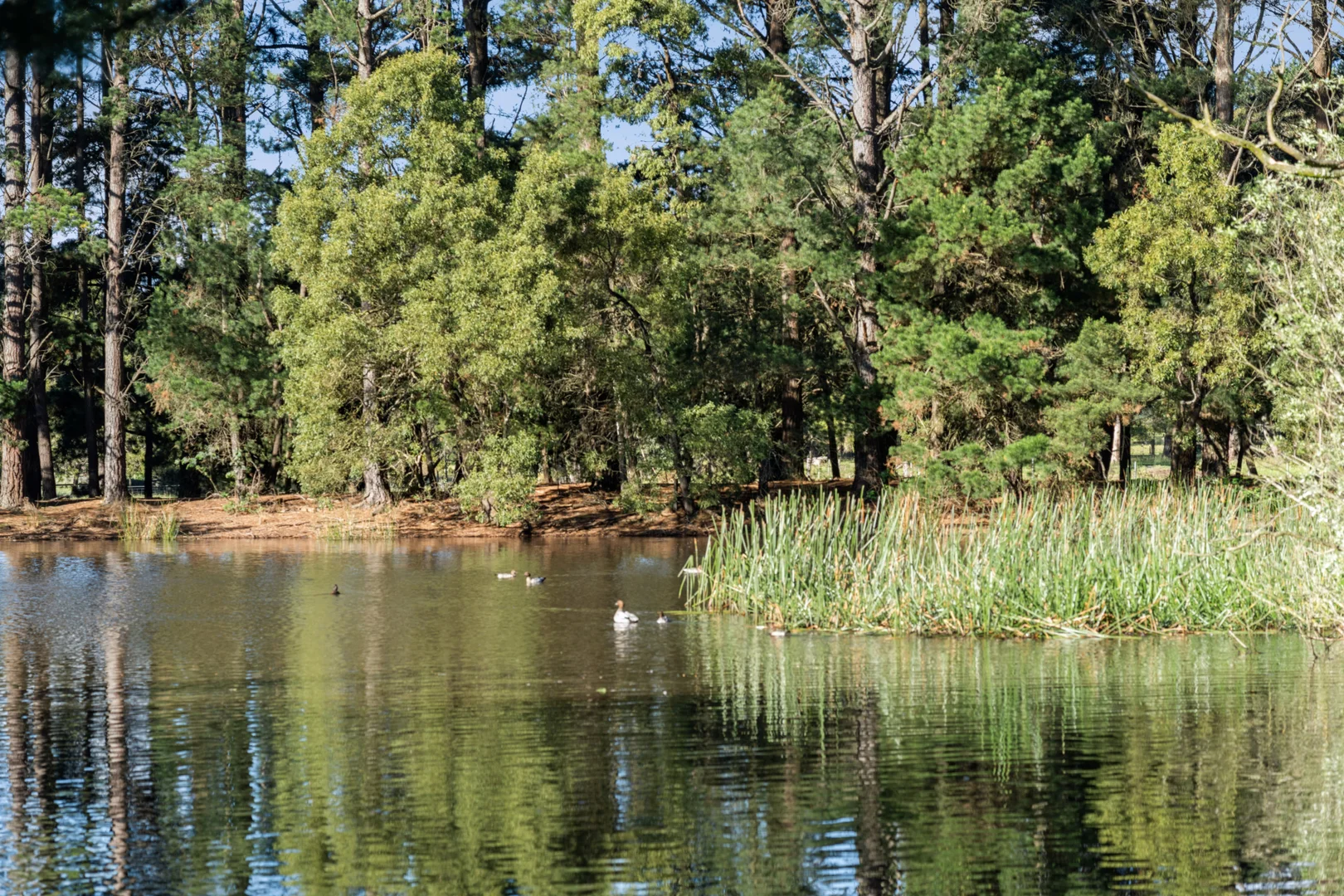 Additional image 17 of 43 Boundary Road, Woodend VIC 3442