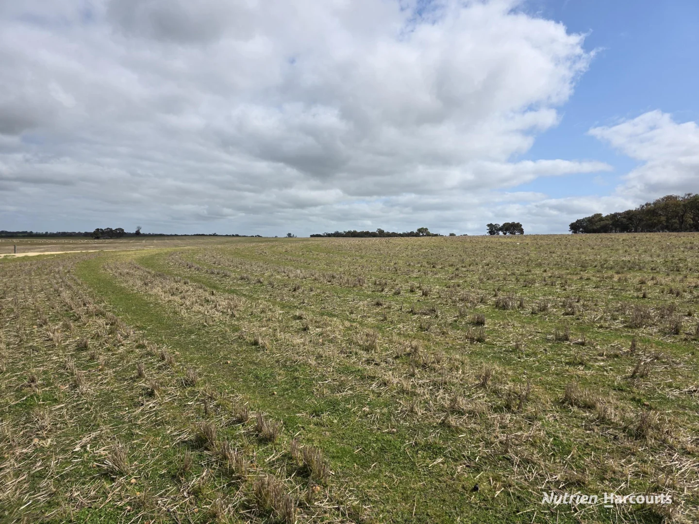 Additional image 29 of Lot 347 Yarralena Road, Cranbrook WA 6321