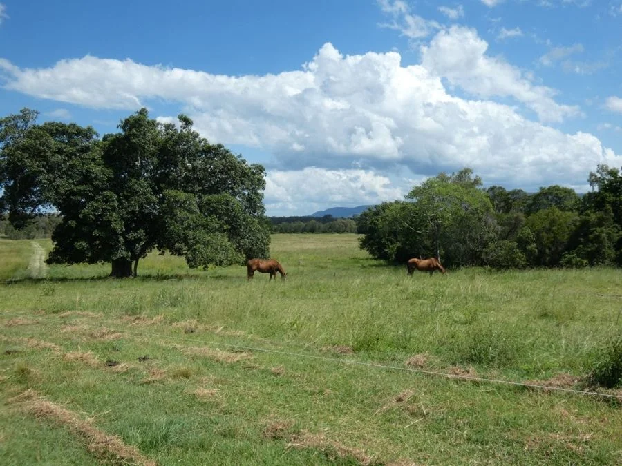 Additional image 27 of 1097 Blackman Gap Road, Colosseum QLD 4677