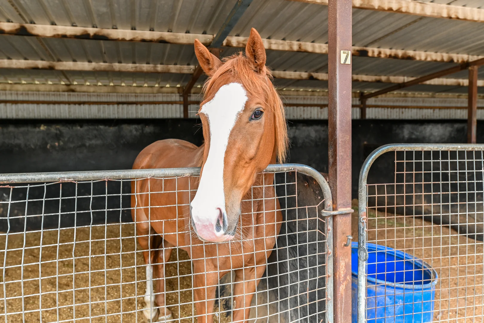 Additional image 13 of 50 Langley Road, Cranbourne South VIC 3977