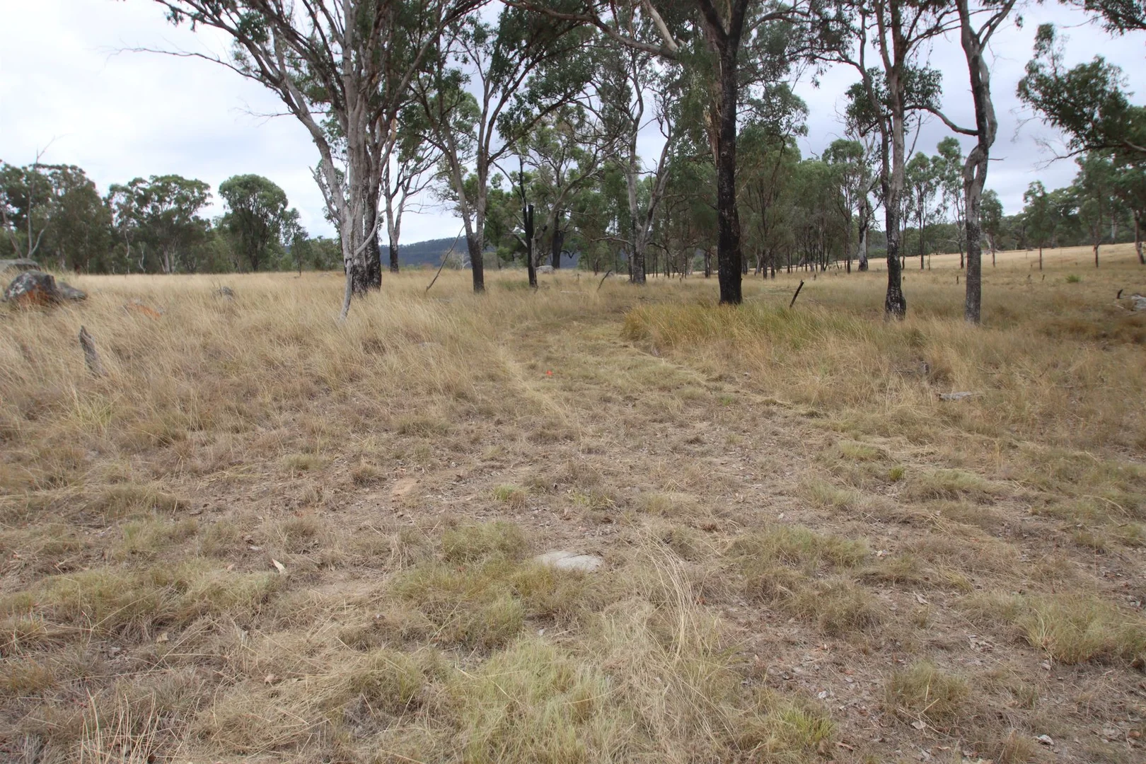 Additional image 28 of 1720C Bruxner Way, Tenterfield NSW 2372