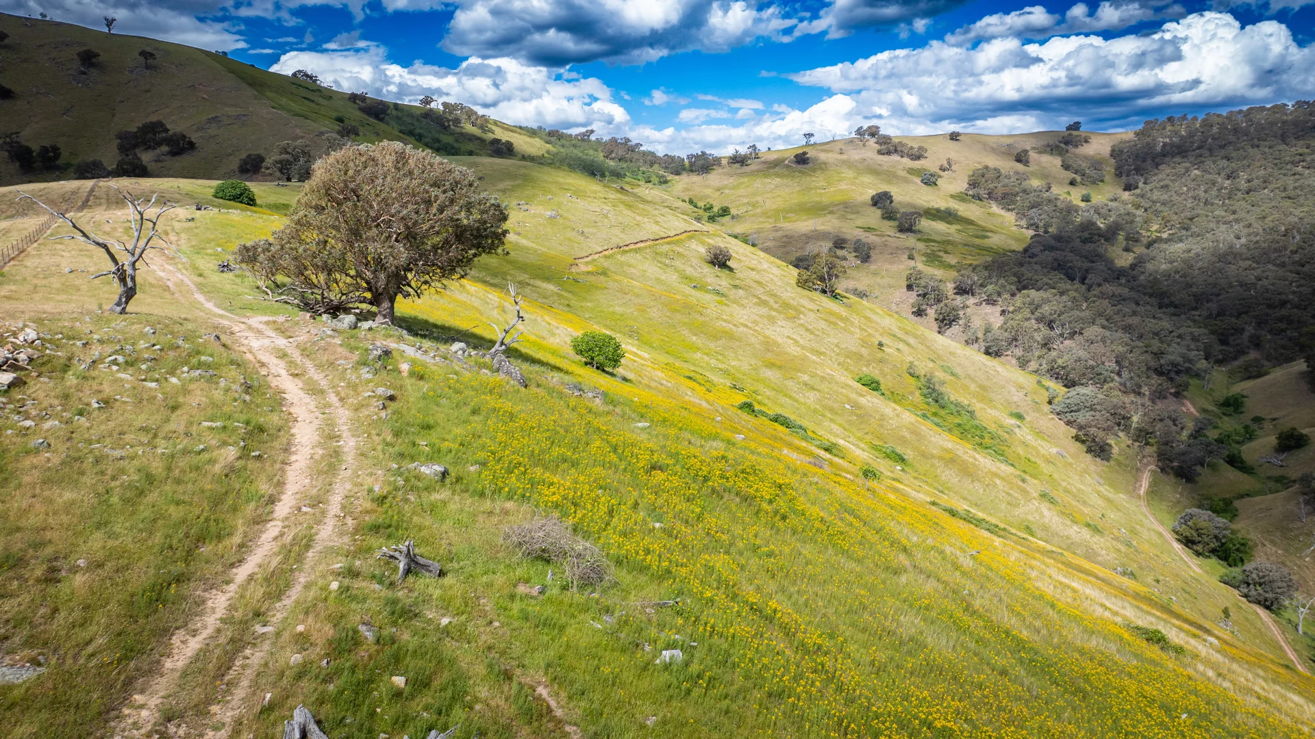 Additional image 18 of 4118 Murray River Road, Thologolong VIC 3691