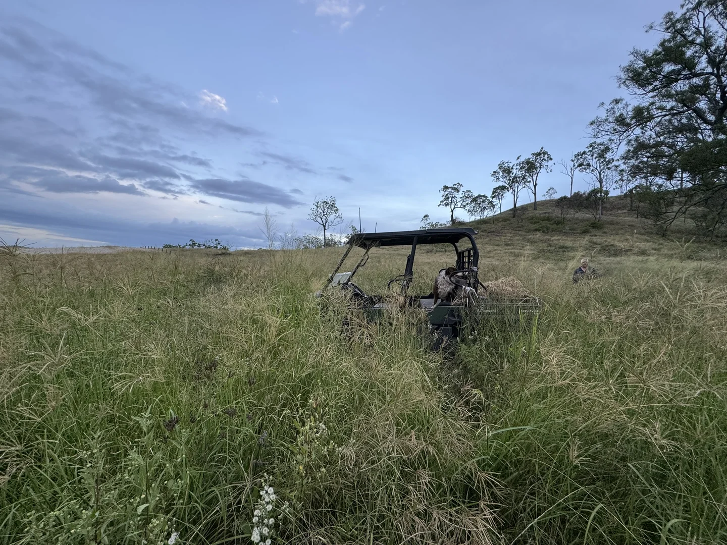 Additional image 13 of 231 Dascombe Road, Coalbank QLD 4352