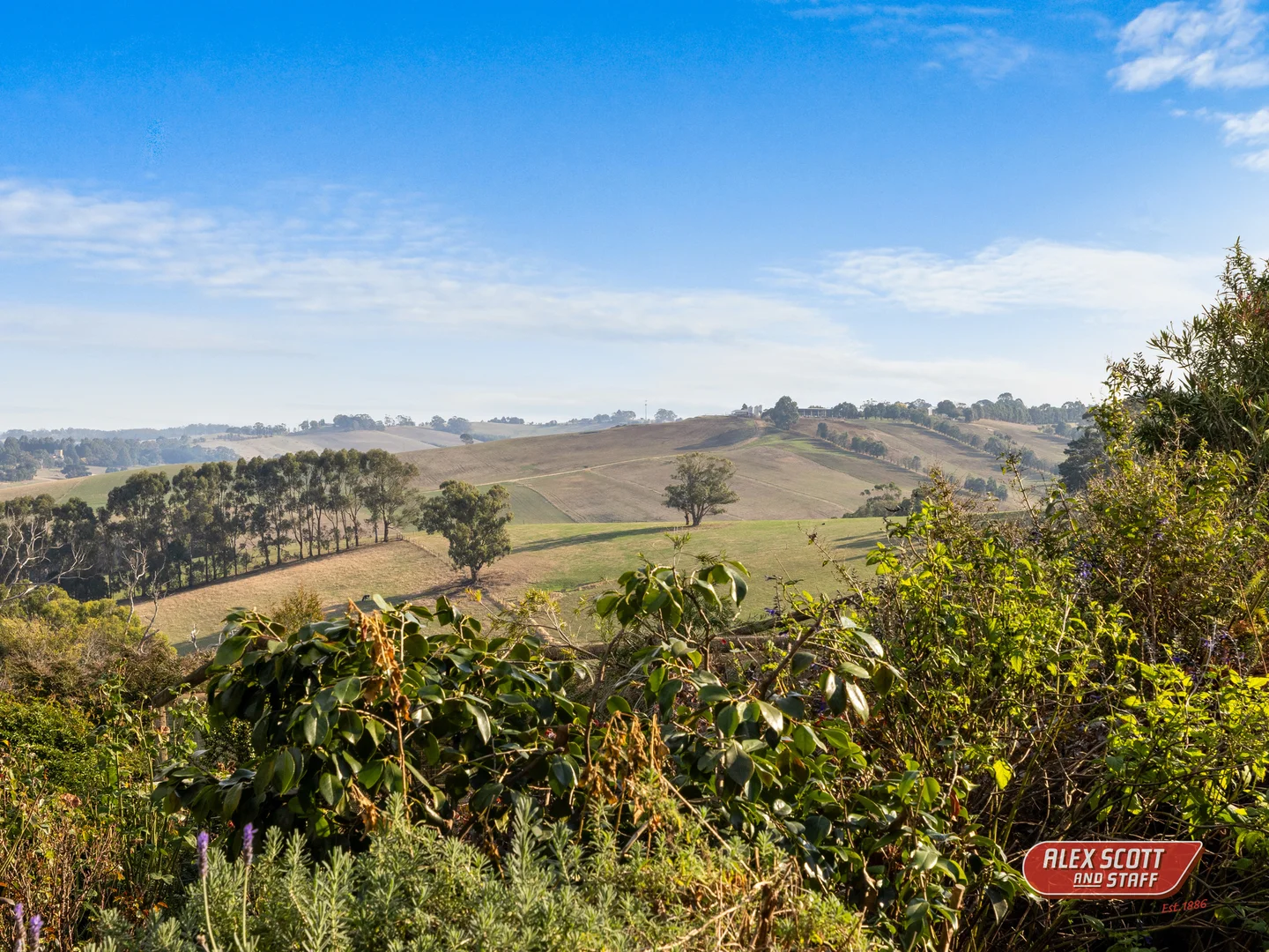 Additional image 21 of 405 Leongatha North Road, Leongatha North VIC 3953