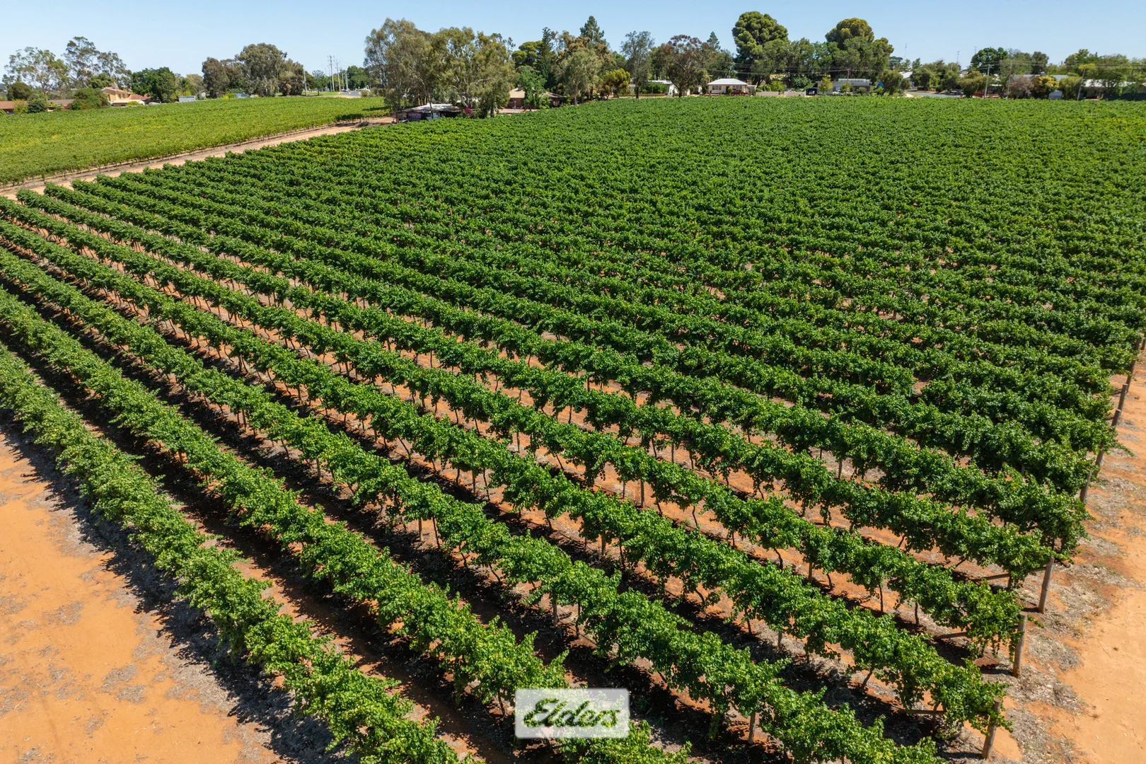 Additional image 15 of 18 Devenport Street, Dareton NSW 2717