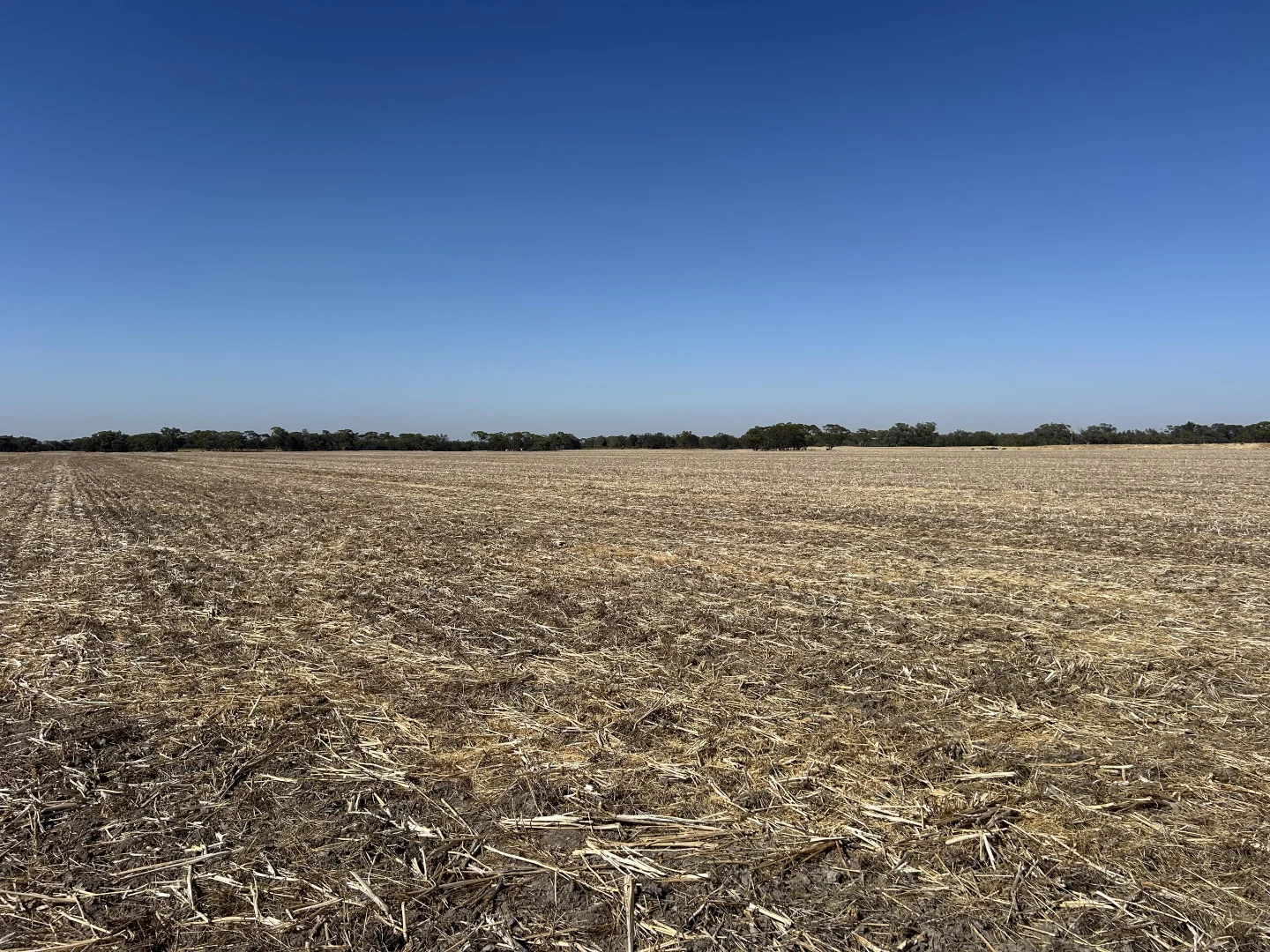 Additional image 3 of Dwarlacking Road, Bulyee WA 6306