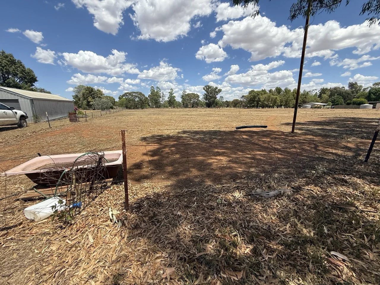 Additional image 7 of 50 Gobondery Street, Trundle NSW 2875