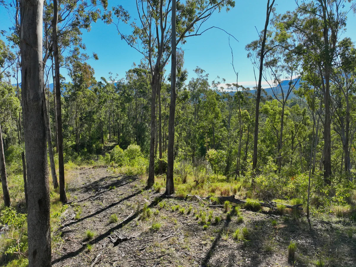 Additional image 24 of 4339 Summerland Way, Unumgar NSW 2474