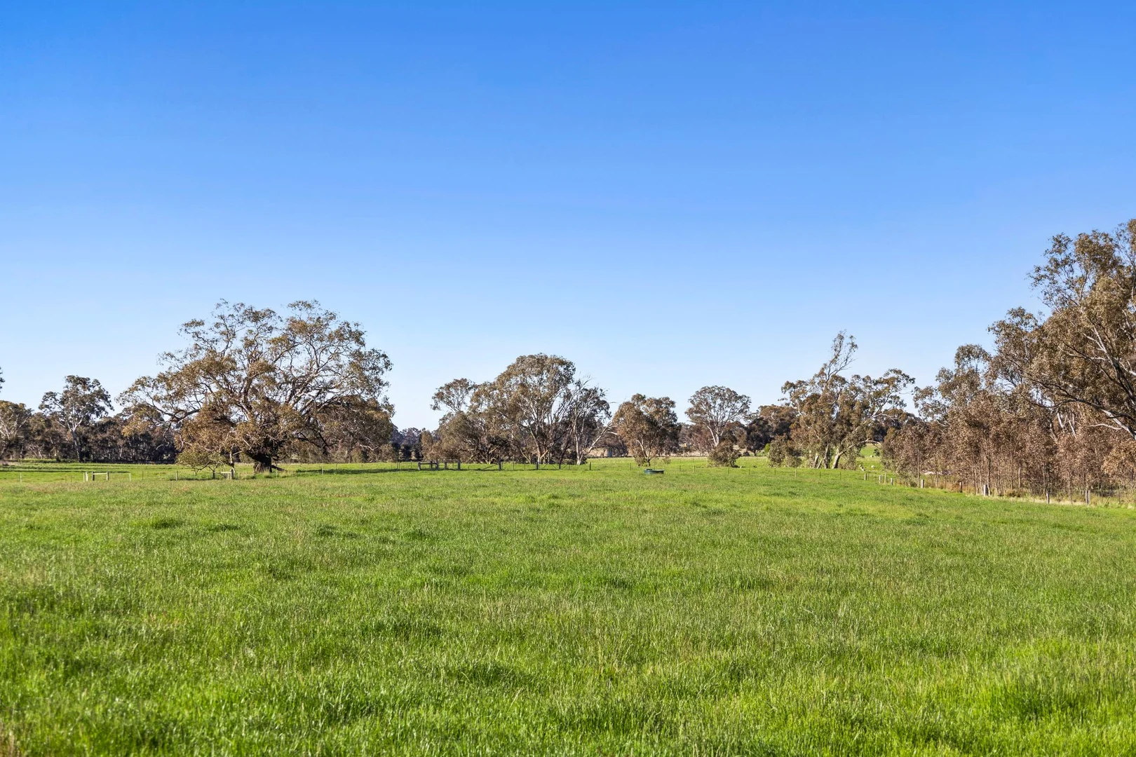 Additional image 16 of 189 Siddles Road, Redesdale VIC 3444