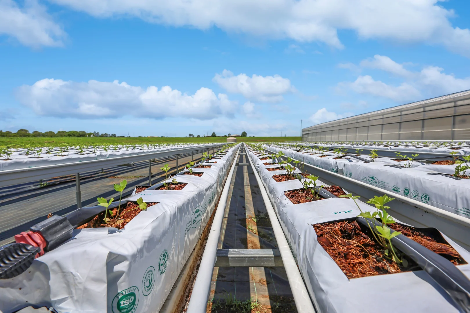 Additional image 13 of 178 Dunns Avenue, Harrisville QLD 4307