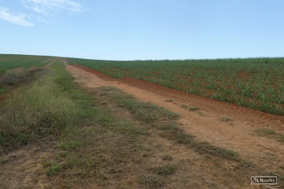 Additional image 10 of Belvedere QLD 4860