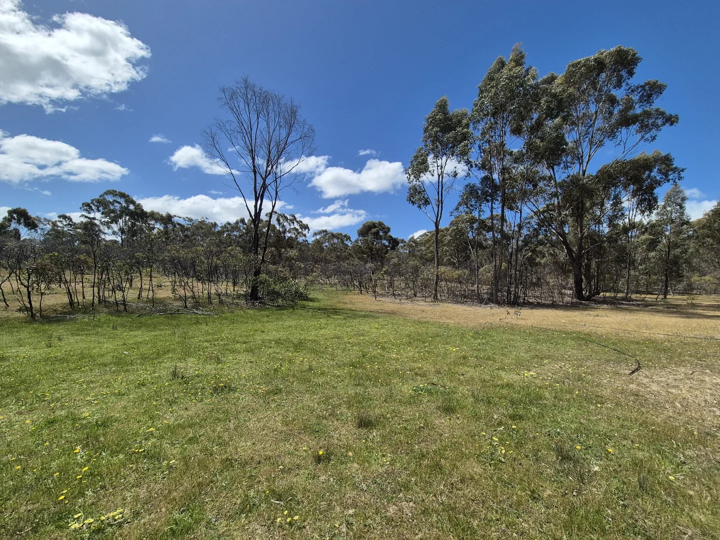Additional image 8 of Lot 3 Gellibrand Tonks Road, Earlston VIC 3669