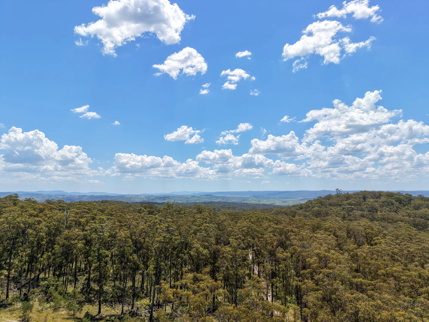 Additional image 3 of 86 Tableland Road, Tenterfield NSW 2372