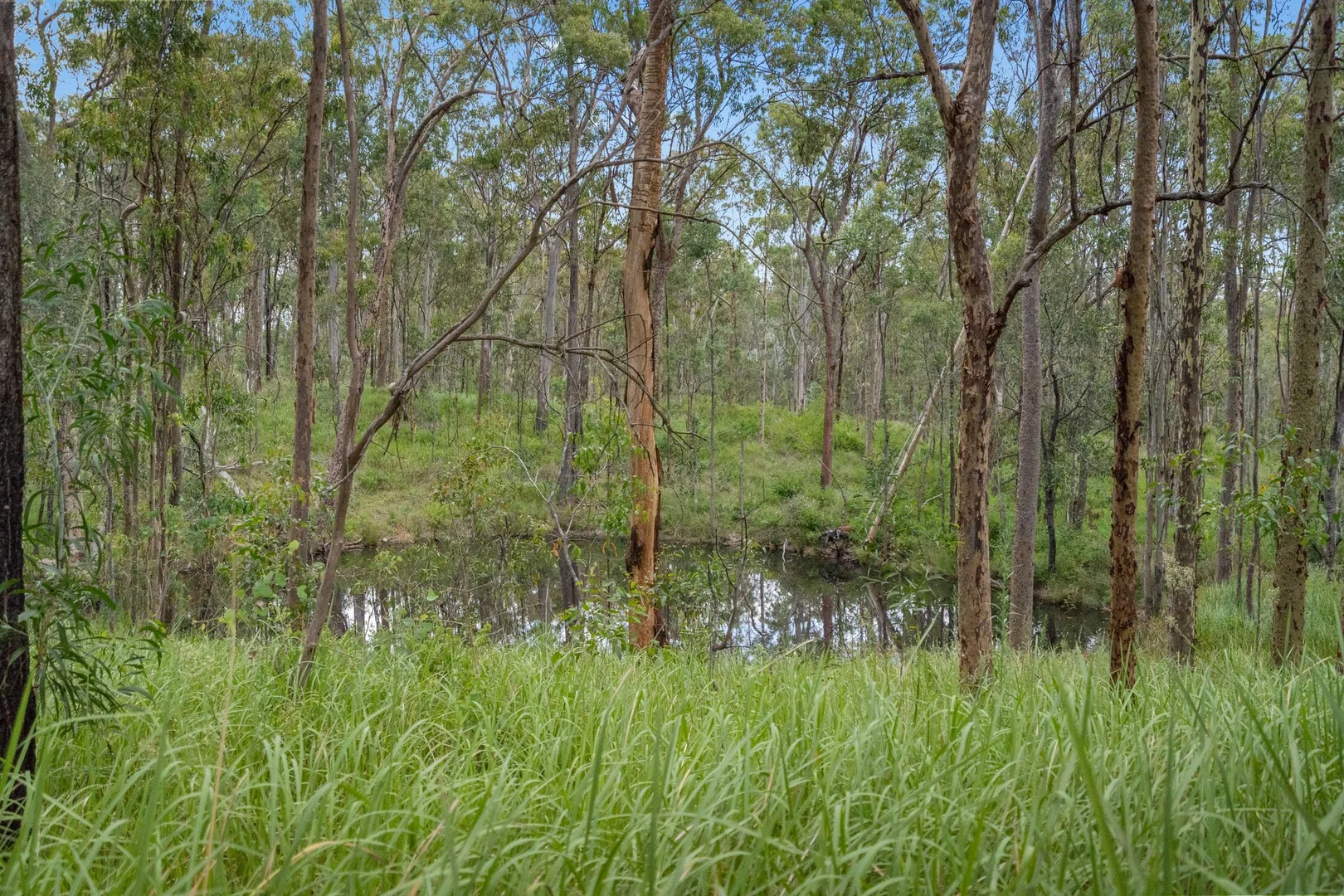 Additional image 9 of Lot 76 Rice Road, Lyons QLD 4124