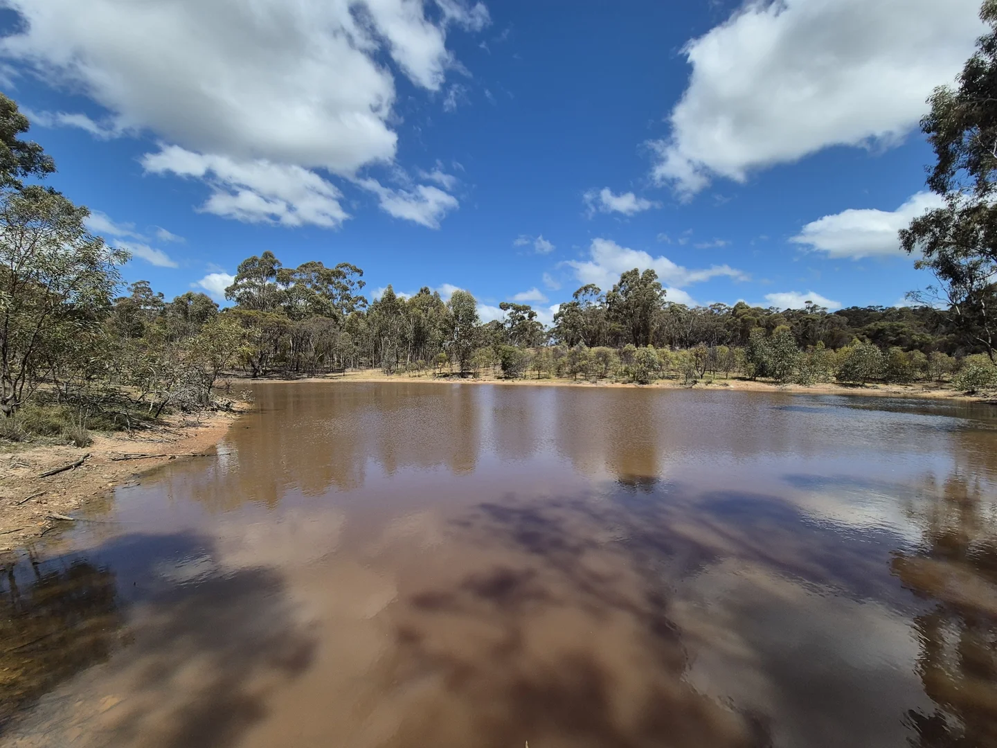 Additional image 10 of Lot 3 Gellibrand Tonks Road, Earlston VIC 3669
