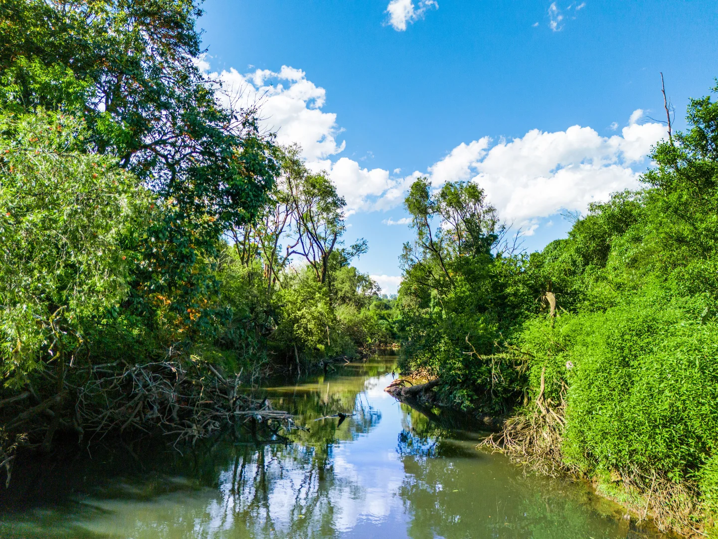 Additional image 42 of 952 Pinchin Road, The Channon NSW 2480