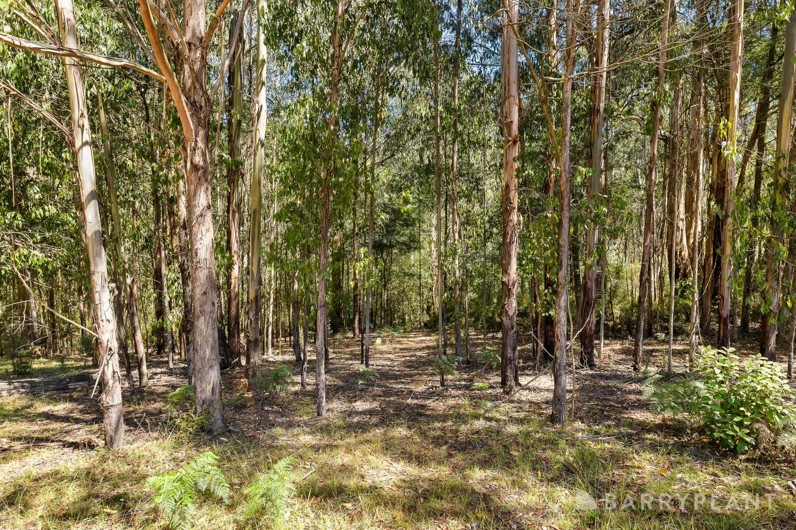 Additional image 9 of 39 Howard Road, Kinglake VIC 3763