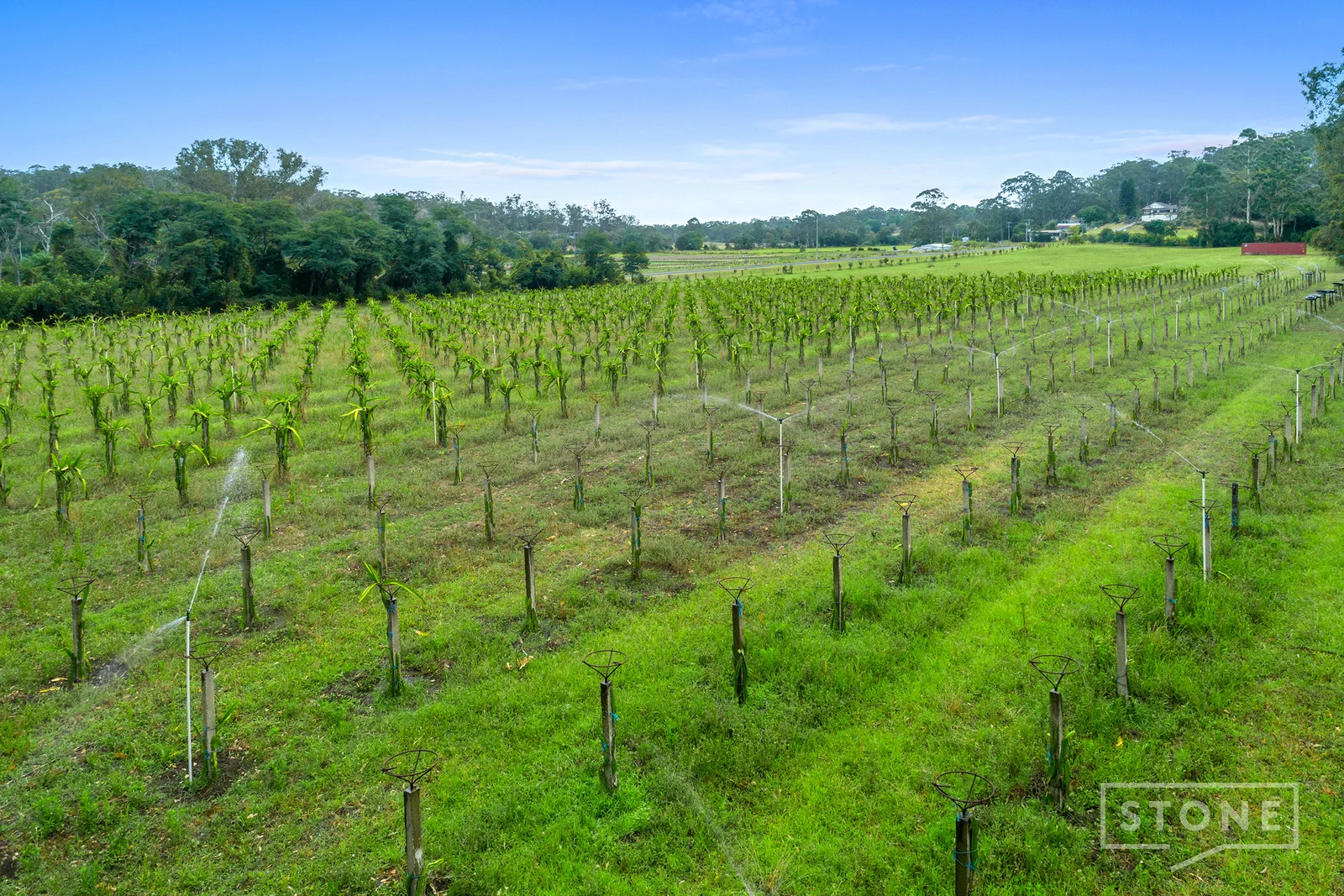 Additional image 8 of 900 Sackville Road, Sackville NSW 2756