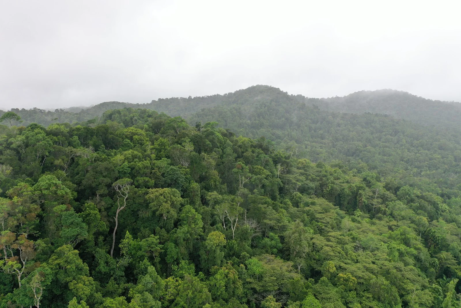 Additional image 26 of Lot 213 Kelly Road, Ellinjaa QLD 4886