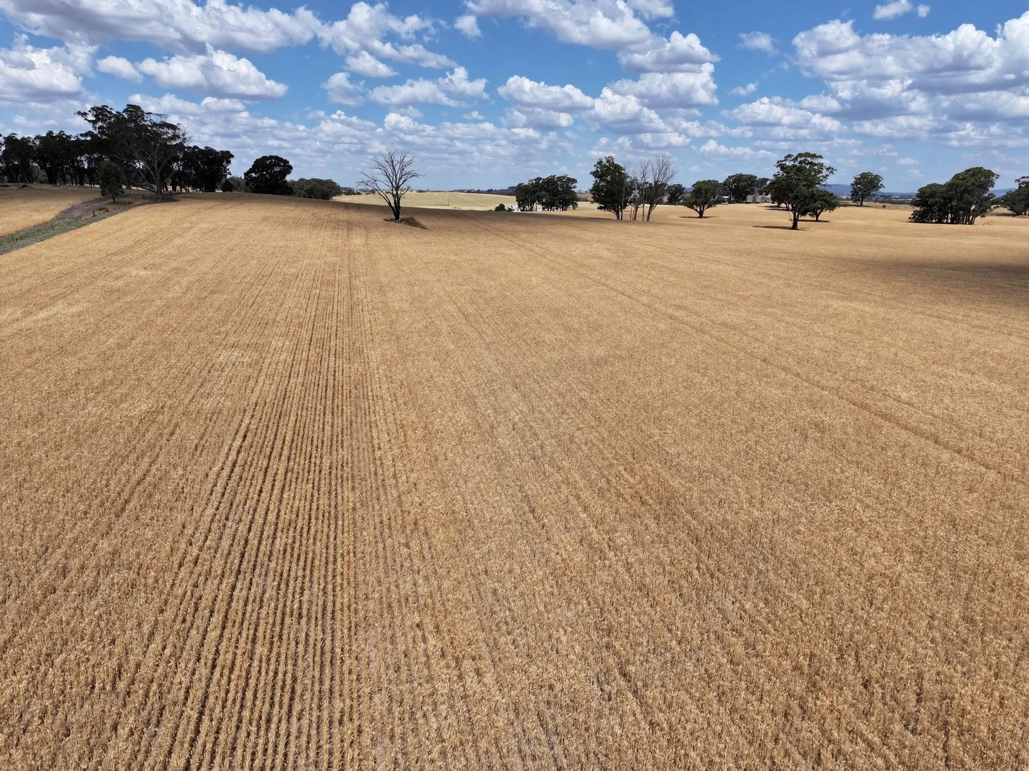 'Quondi', Dirnaseer Road, Combaning NSW 2666