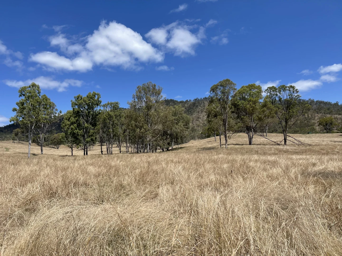 Additional image 16 of 4900 Tableland Road, Tablelands QLD 4680