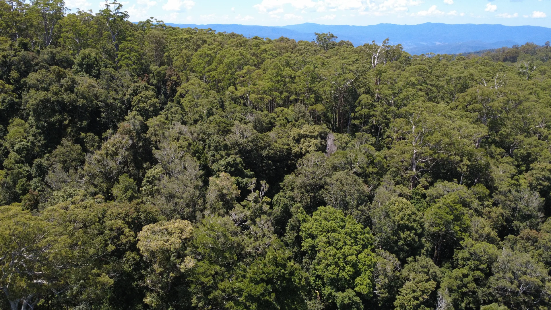 Additional image 19 of Baxters Ridge Road, Gloucester NSW 2422