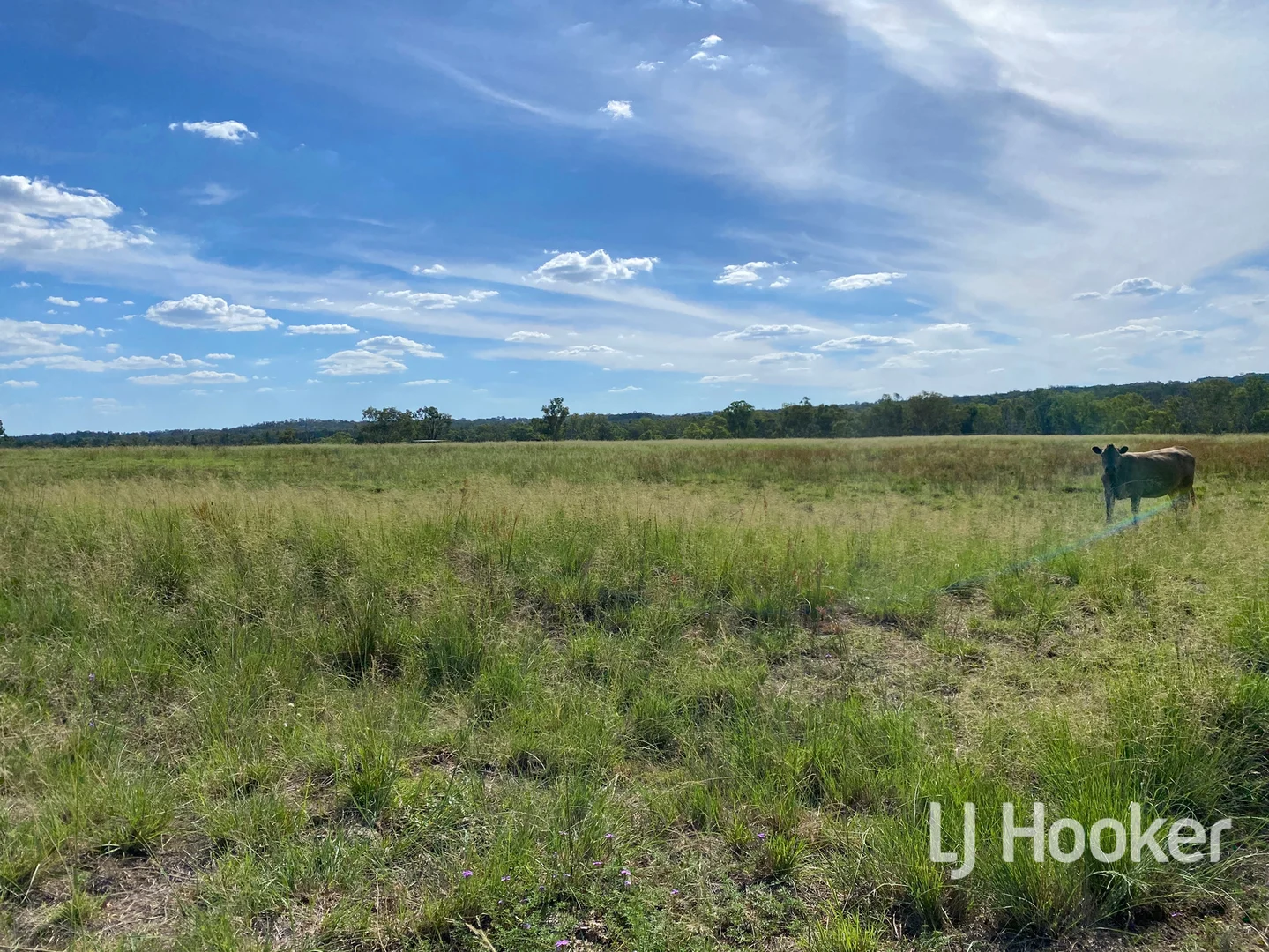 Additional image 11 of 1223 Karoola Road, Inverell NSW 2360