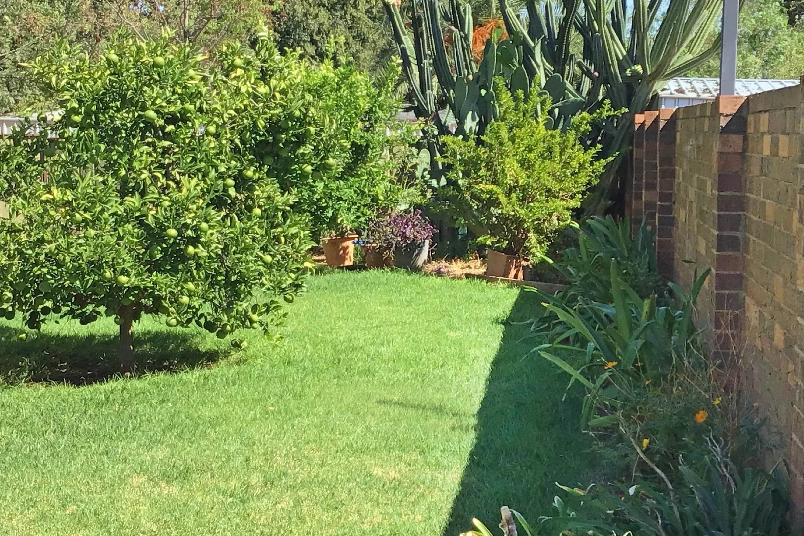 Additional image 11 of 1-4/126 Meryula Street, Narromine NSW 2821