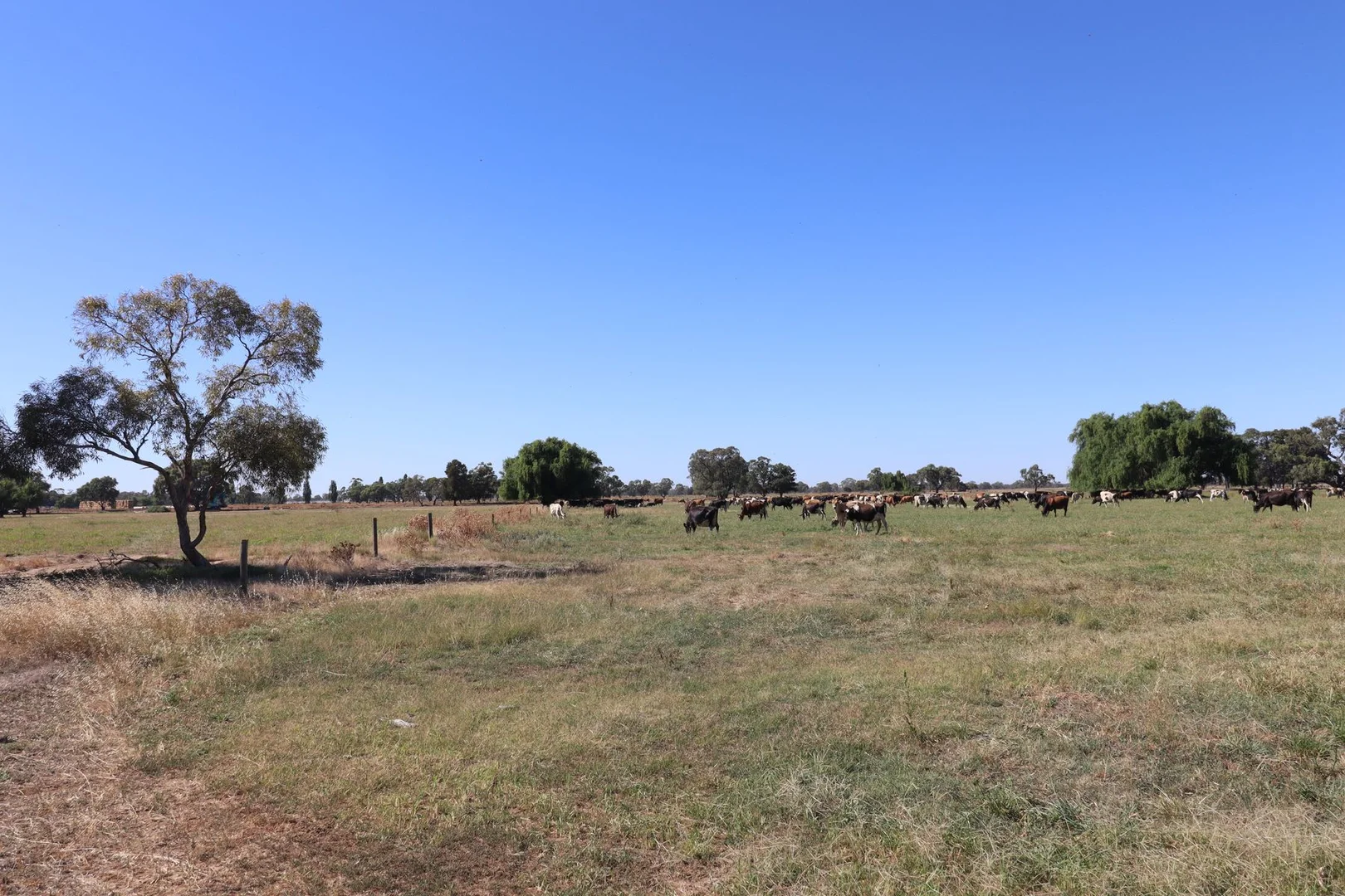 Additional image 13 of 156 Walker Lane, Tullakool NSW 2732
