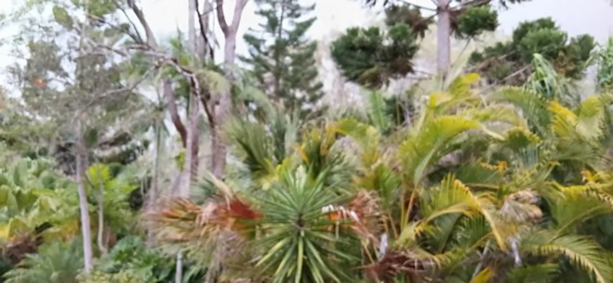 Additional image 13 of 1 Top End Mines Road, Torbanlea QLD 4662