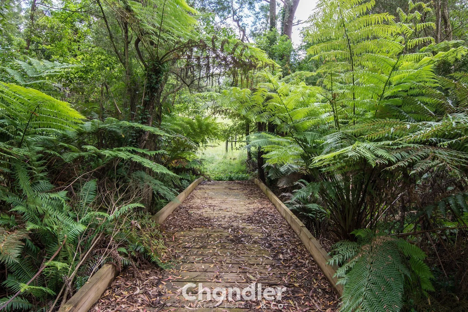 Additional image 21 of 9A Edenmont Road, Emerald VIC 3782