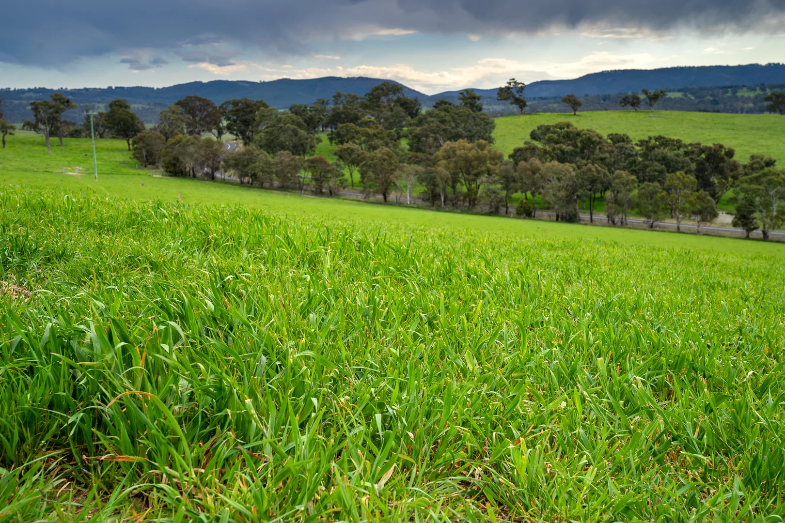 Additional image 18 of 1712 Hazelgrove Road, Tarana NSW 2787