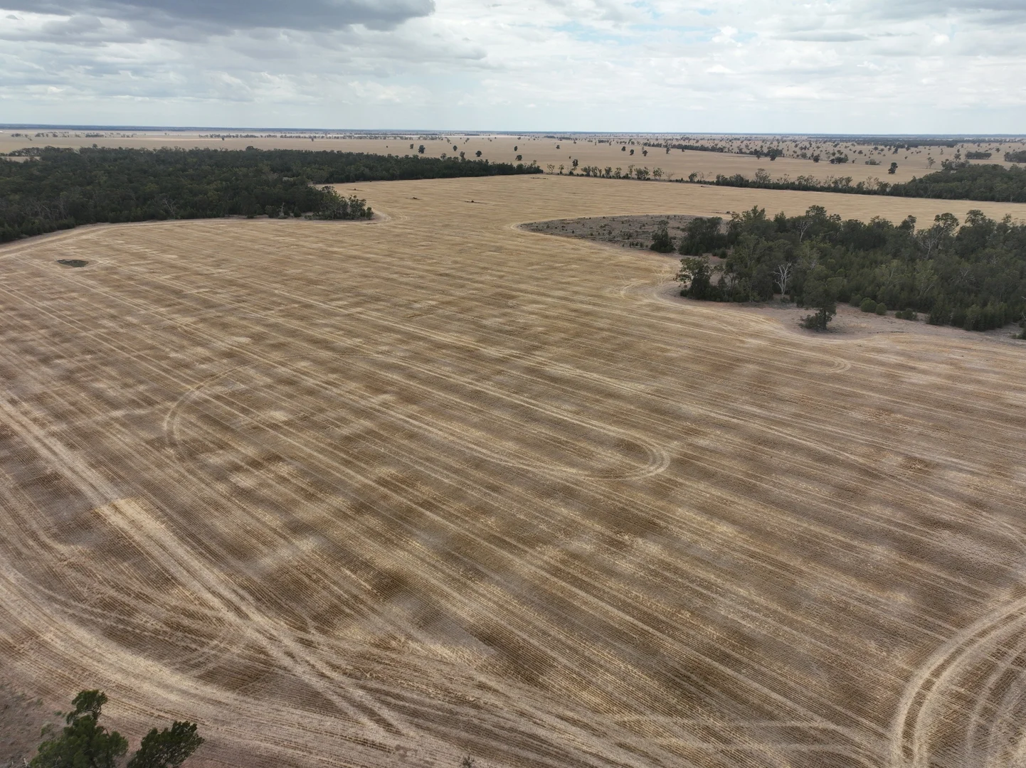 Additional image 22 of 'The Pines' 211 Dicks Camp Road, Collie NSW 2827