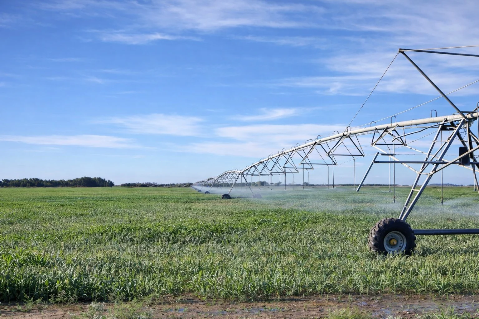 Additional image 2 of Murrami Road, Murrami NSW 2705