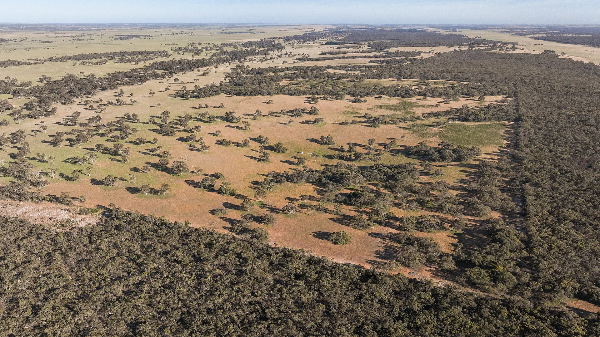 Additional image 7 of 1112 Minnie Crowe Road, Avenue Range SA 5273