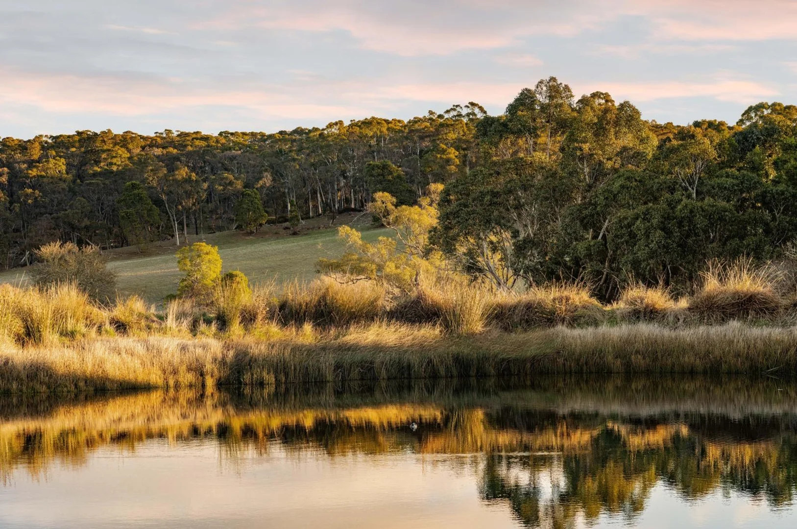 Additional image 23 of 324 Glenisla Road, Glen Park VIC 3352