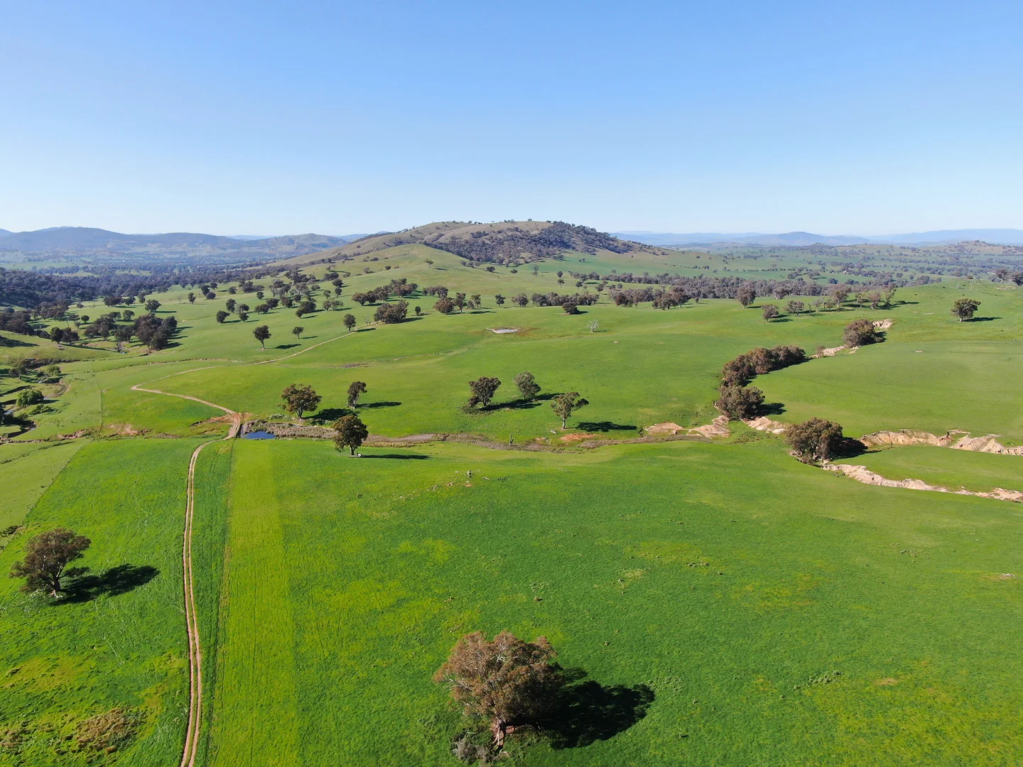 Additional image 4 of Holbrook NSW 2644