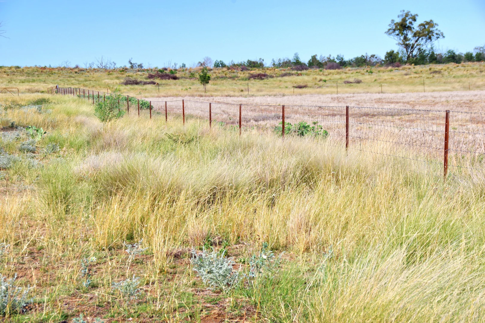 Additional image 28 of 2381. Killarney Gap Road, Narrabri NSW 2390