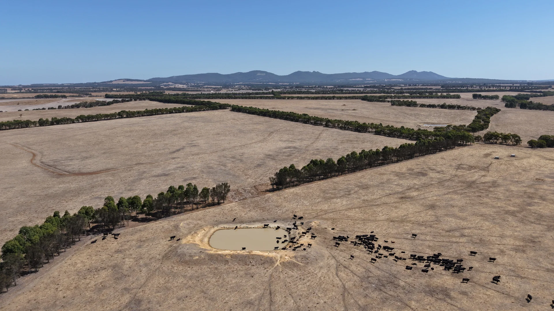 Additional image 3 of 4842 Chester Pass Road, Takalarup WA 6324