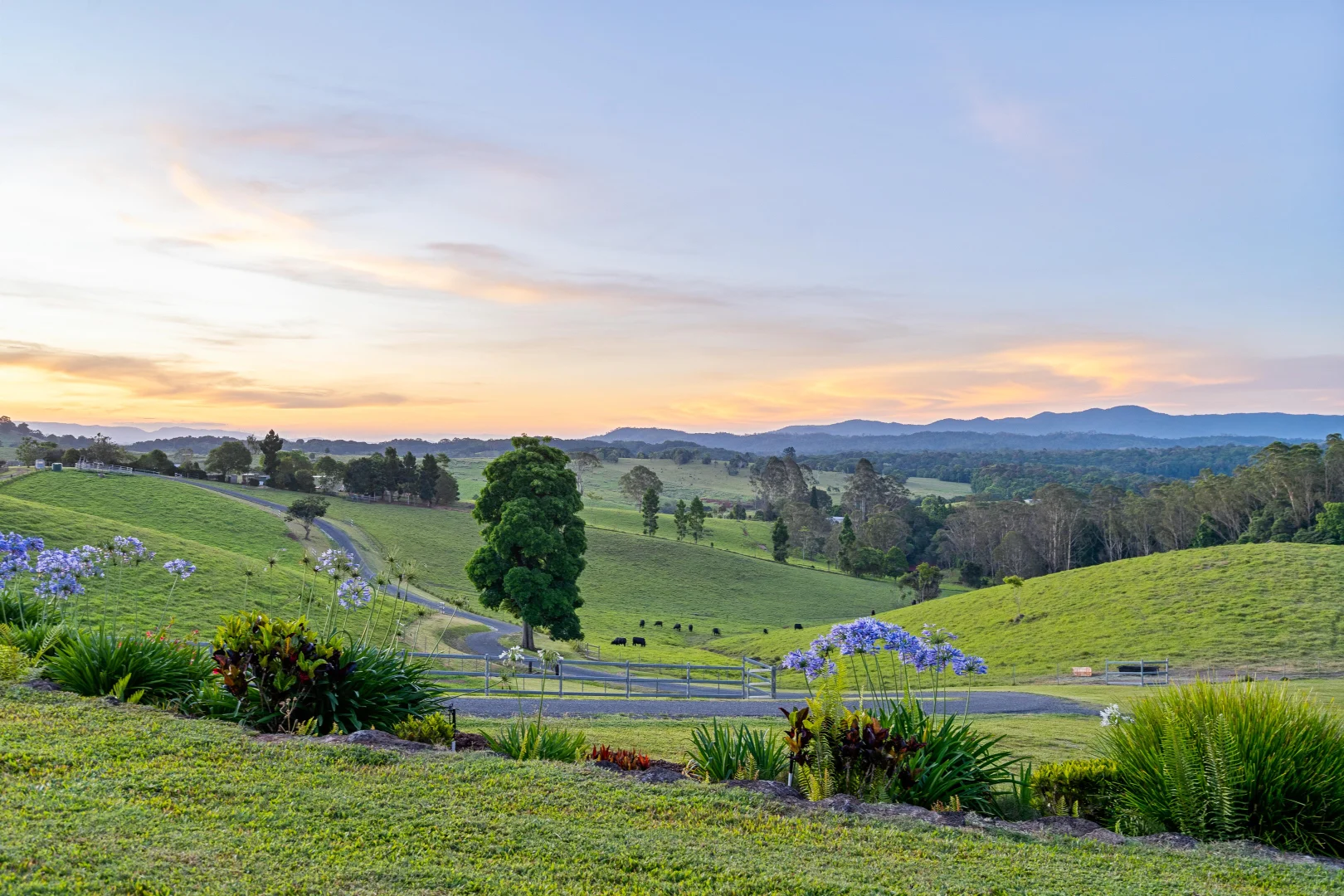 Additional image 27 of 53 Guludu Close, Danbulla QLD 4872