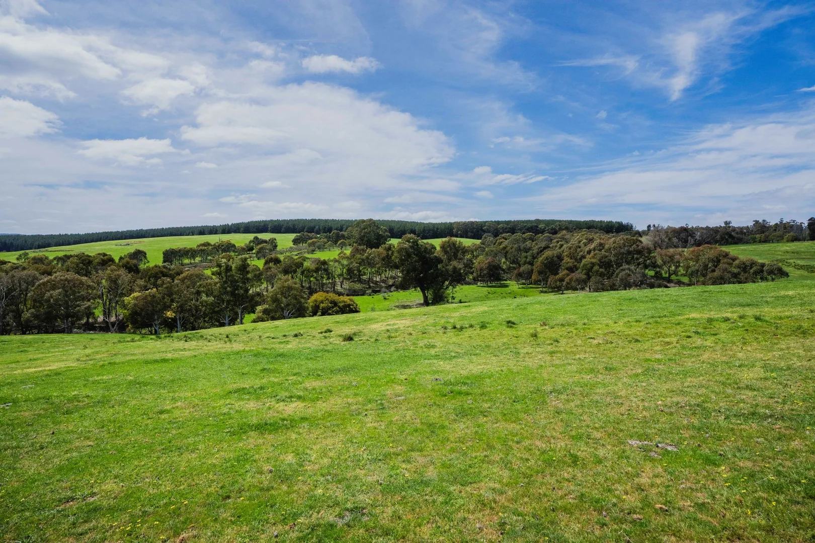 Additional image 8 of 2026 Jingellic Road, Tumbarumba NSW 2653