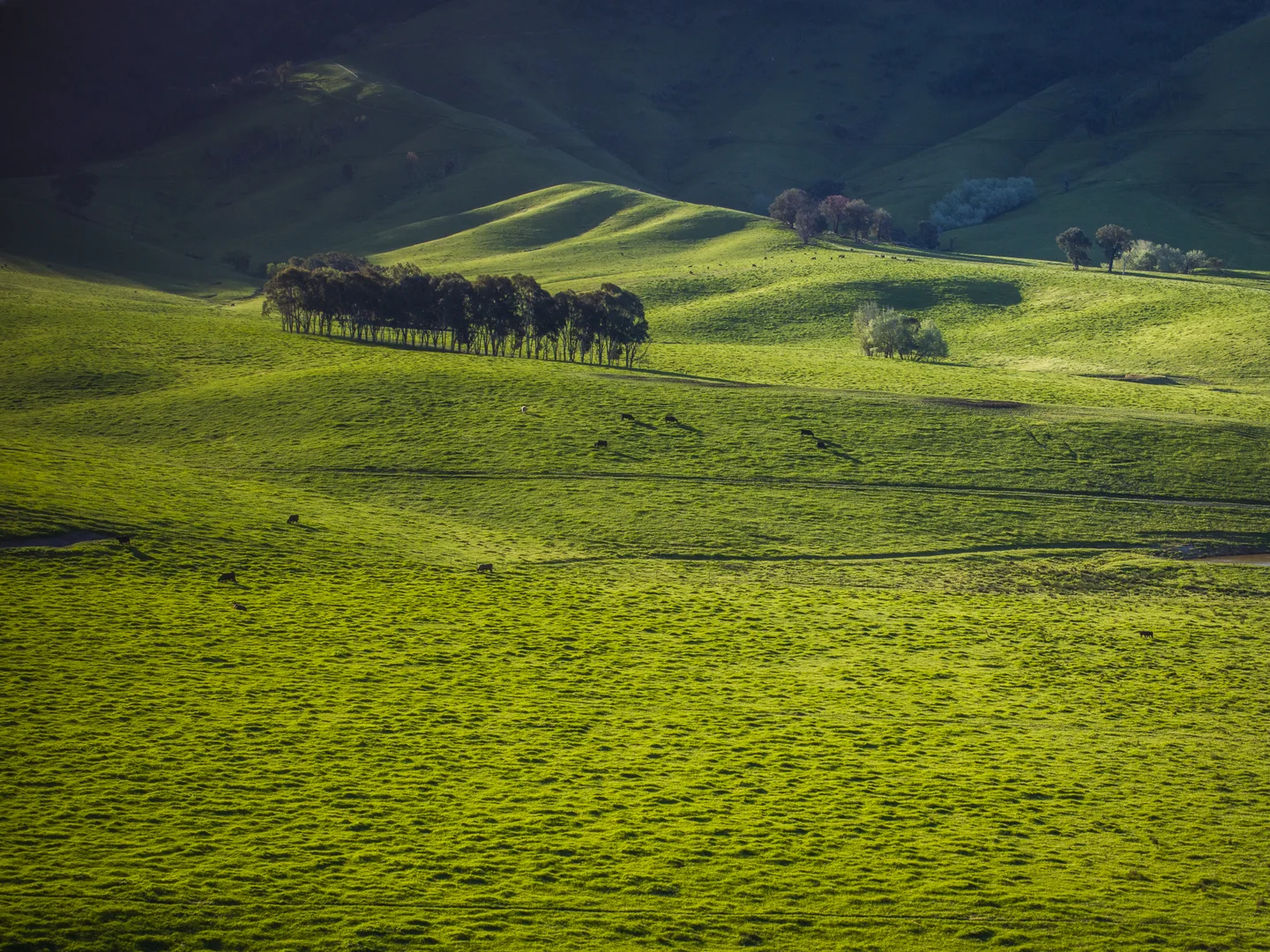 Additional image 21 of 3091 Shelley Road, Walwa VIC 3709