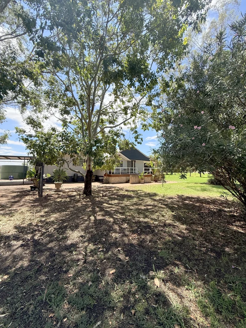 Additional image 69 of 506 North Forbes Rd, Condobolin NSW 2877