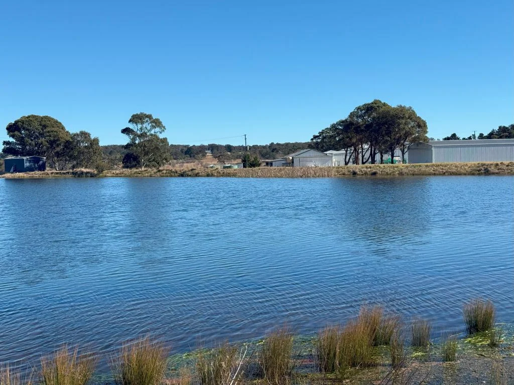 Additional image 6 of 79 Cottonvale School Rd, Cottonvale QLD 4375