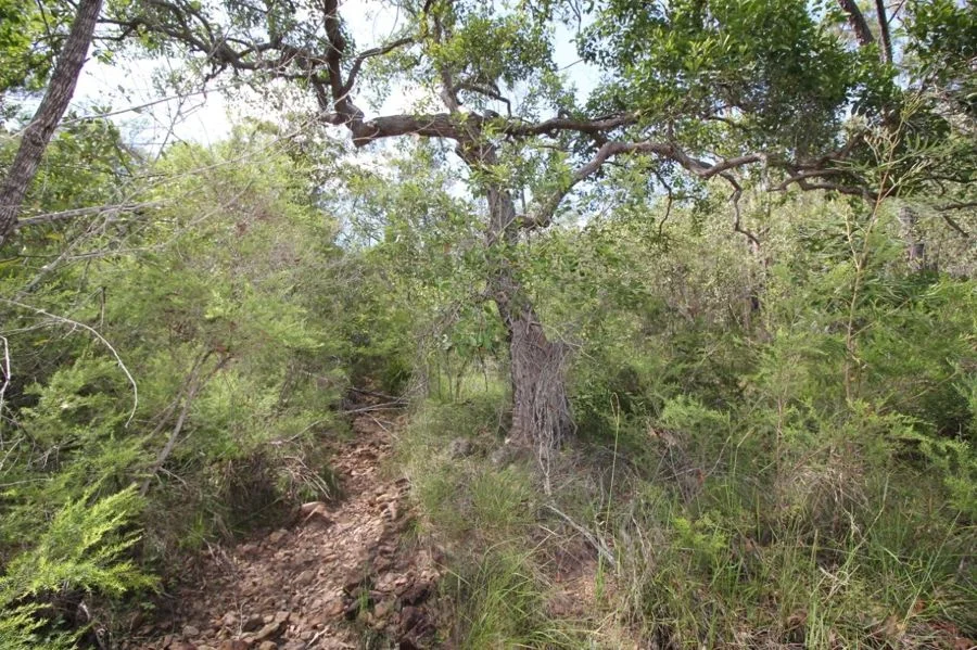 Additional image 23 of Lot 26 Tableland Road, Mount Maria QLD 4674