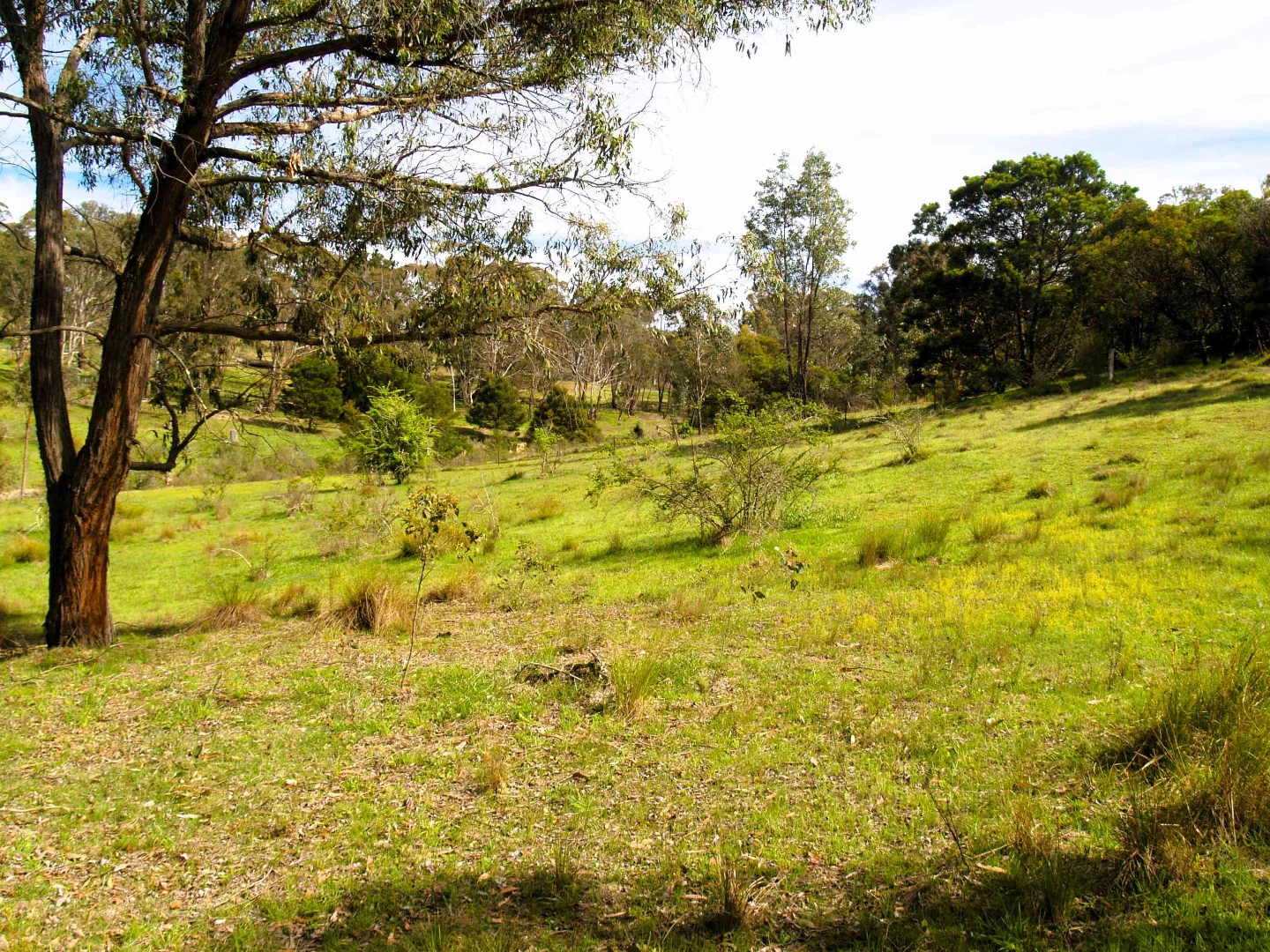 Additional image 19 of 198 Wurungul Lane, Gundaroo NSW 2620