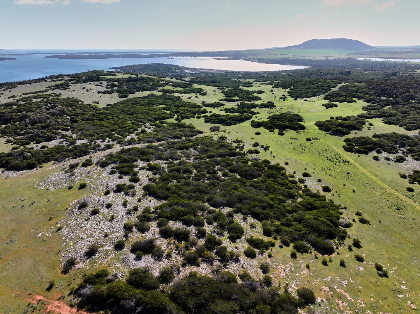 Additional image 5 of Lot 242 Snapper Hill Road, Wangary SA 5607