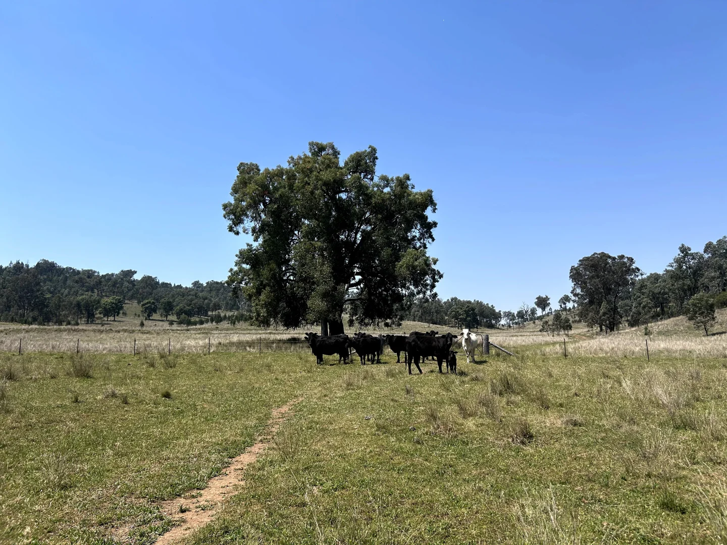 Additional image 12 of Riverview Road, Bingara NSW 2404